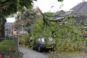 Dakbedekkingsbedrijven melden veel stormschade